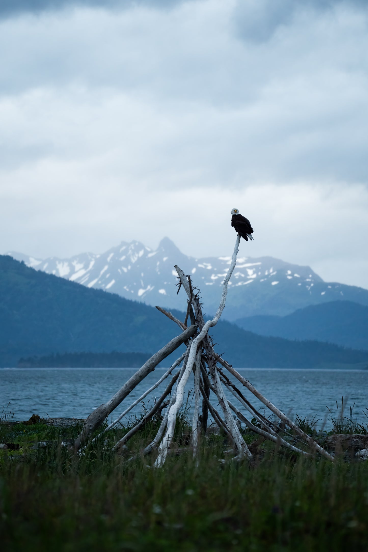 2025 TPM Annual Photography Retreat | Alaska