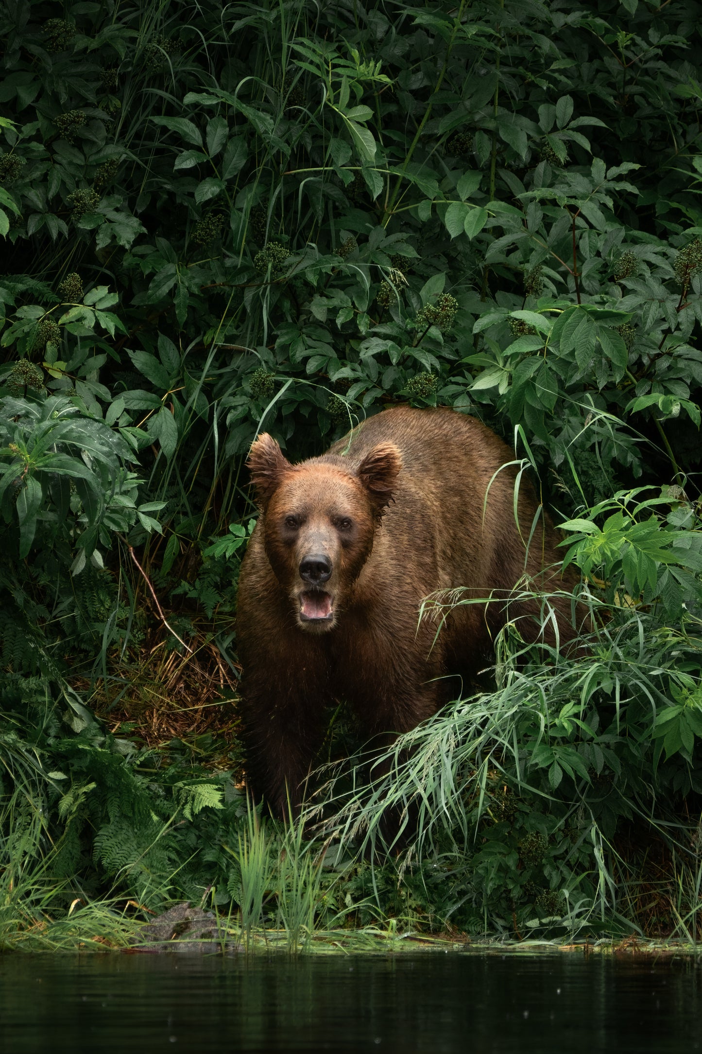 2025 TPM Annual Photography Retreat | Alaska