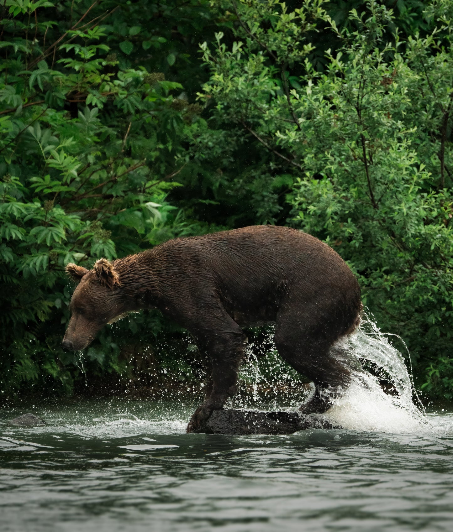 2025 TPM Annual Photography Retreat | Alaska